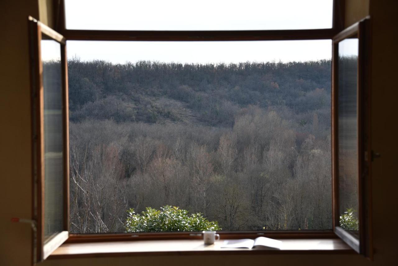 Les Collines Du Quercy Blanc Villa Castelnau-Montratier Buitenkant foto