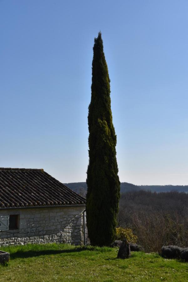 Les Collines Du Quercy Blanc Villa Castelnau-Montratier Buitenkant foto